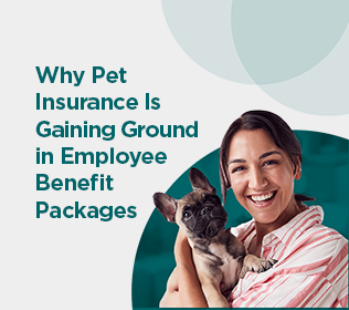 Why Pet Insurance Is Gaining Ground in Employee Benefit Packages