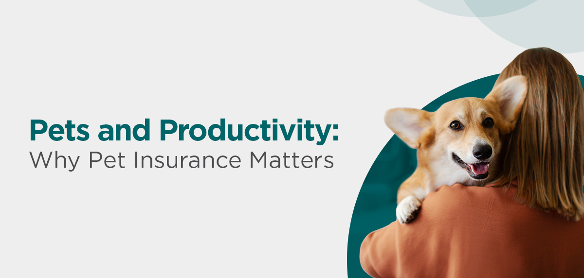 Pets and Productivity: How Pet Insurance for Employees Lowers Stress and Improves Business Outcomes