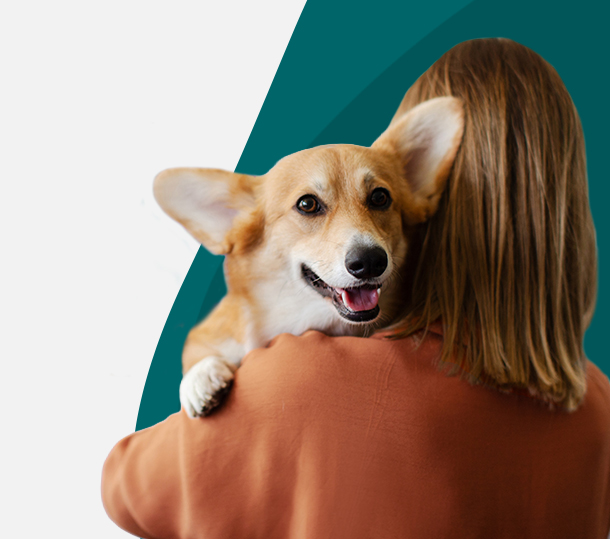 Why Pet Insurance Is Gaining - Traction with Employees