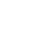 NAPEO logo